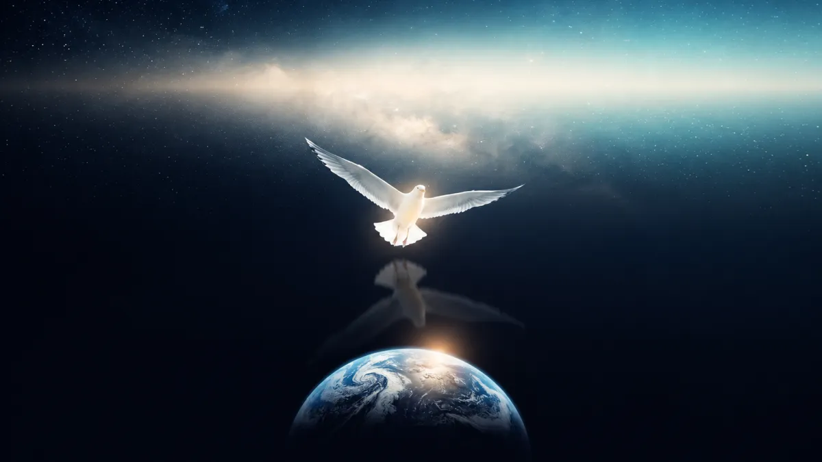 Martı Jonathan Livingston